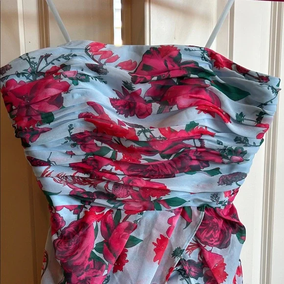 NWT Hutch Strapless Ruched Dress in Pink and Blue Floral with Gorgeous Overskirt - Picture 6 of 9